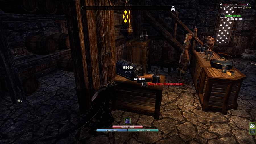 Being a Thief in ESO