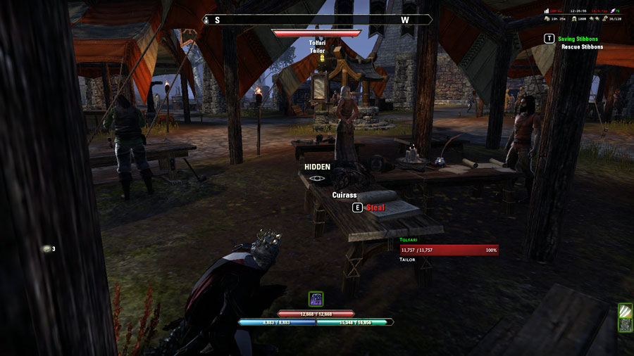 Being a Thief in ESO
