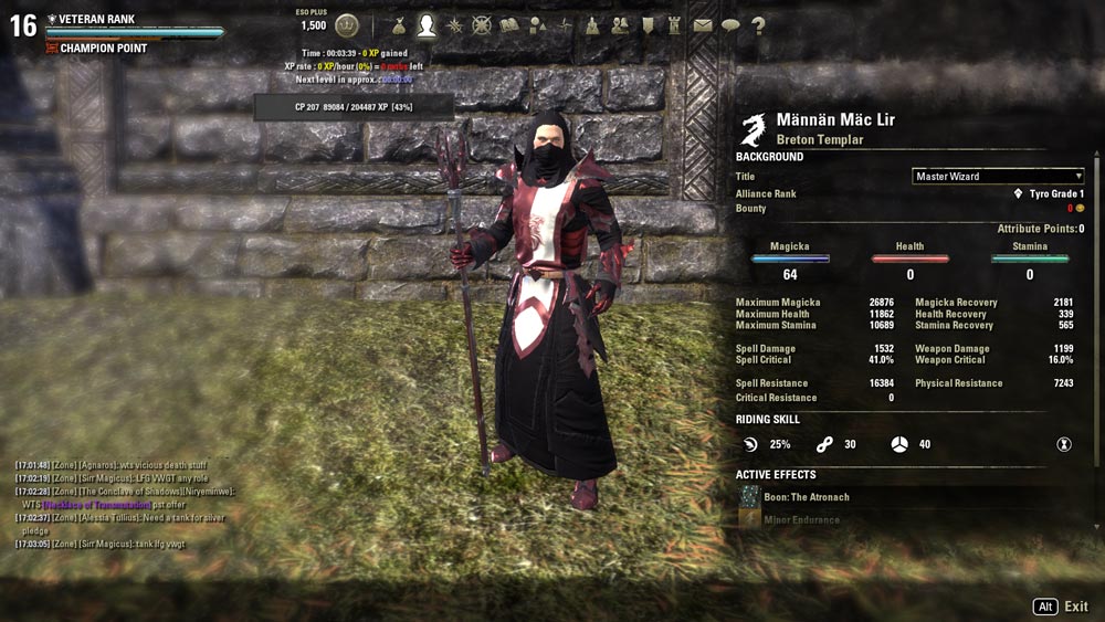 Sun Priest Build