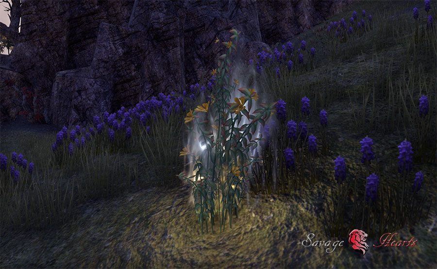 Alchemy Crafting Guide in ESO