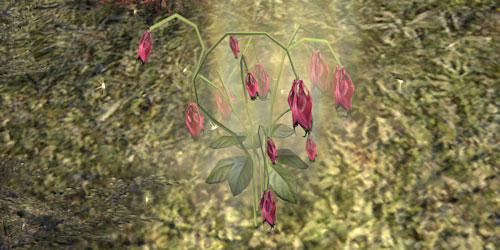 Columbine